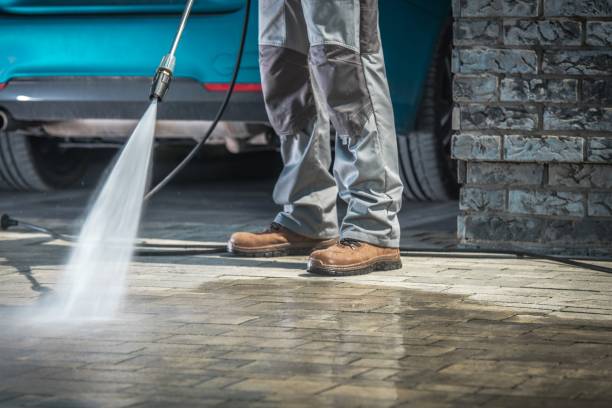 Best Winterizing Services  in Ridgewood, IL