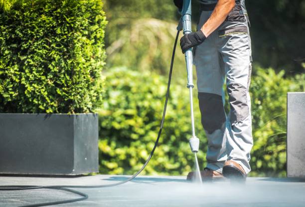 Trusted Ridgewood, IL Pressure Washing Services Experts