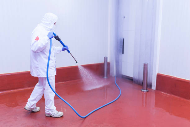 Best Solar Panel Cleaning  in Ridgewood, IL