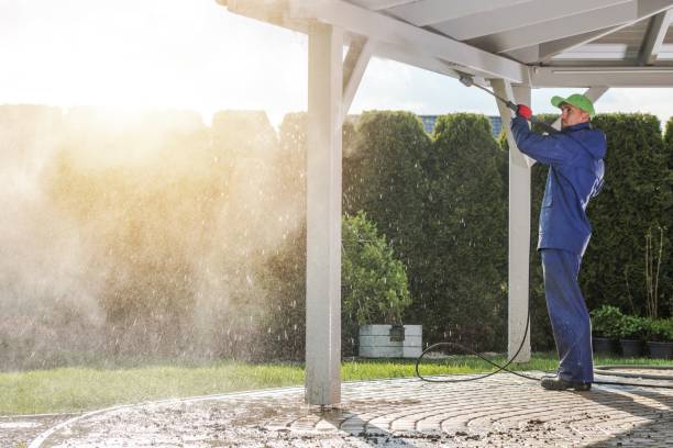 Best Fleet Vehicle Washing  in Ridgewood, IL