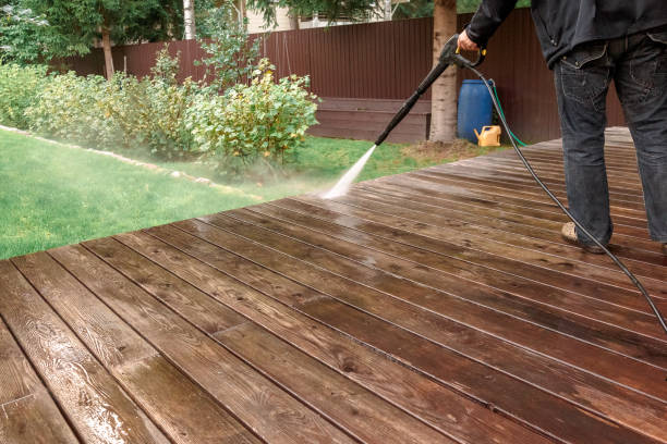 Best Driveway Pressure Washing  in Ridgewood, IL