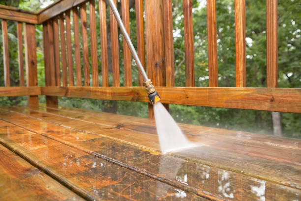 Best Gutter Cleaning  in Ridgewood, IL