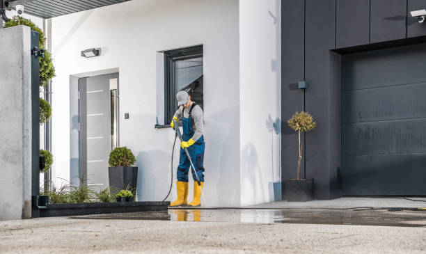 Best Patio and Deck Pressure Washing  in Ridgewood, IL